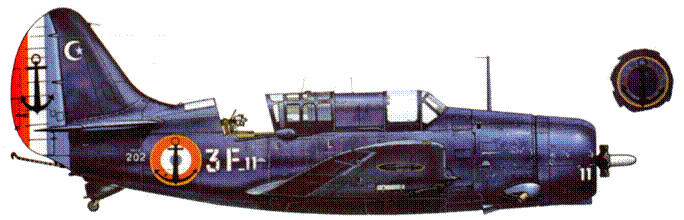 SB2C Helldiver pic_195.png