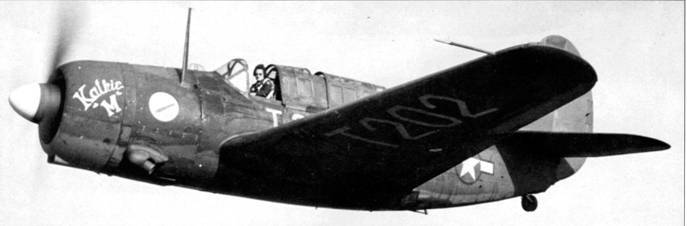 SB2C Helldiver pic_54.jpg