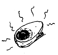 Суп из акульего плавника i_001.png