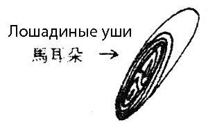 Суп из акульего плавника i_015.png