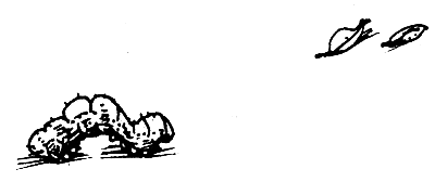 Суп из акульего плавника i_051.png