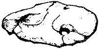Книга о якорях i_003.jpg