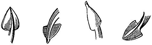 Книга о якорях i_077.jpg