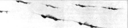 Messerschmitt Bf 110 pic_144.jpg