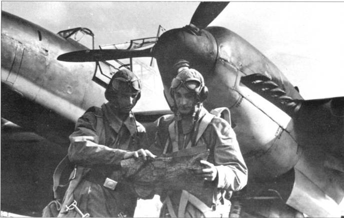 Messerschmitt Bf 110 pic_32.jpg