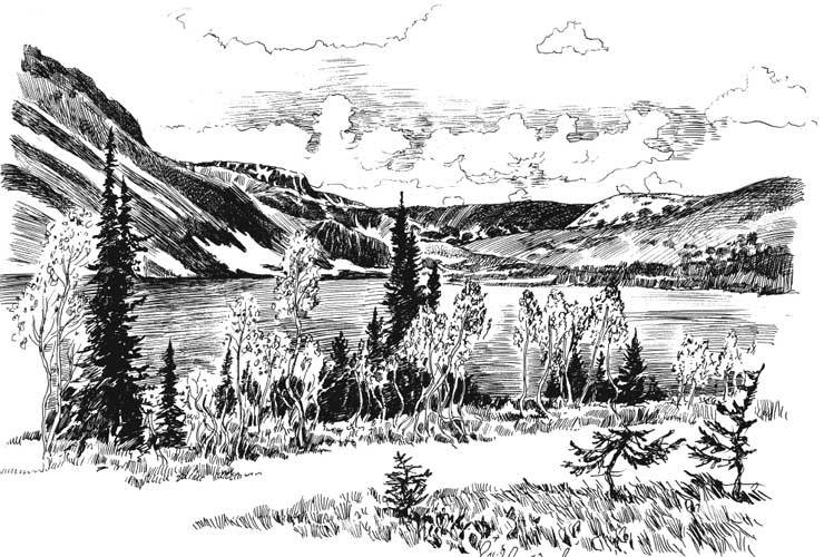 Арабески ботаники. Книга вторая: Томские корни alatau.jpg
