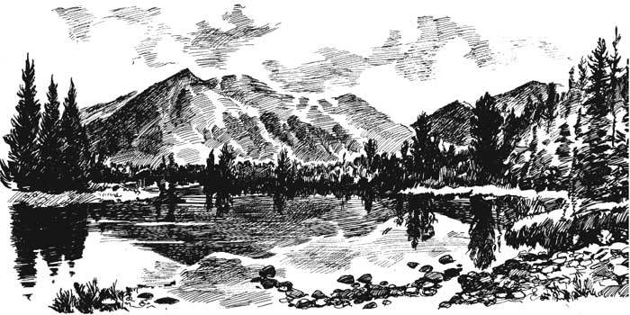 Арабески ботаники. Книга вторая: Томские корни ssayan.jpg