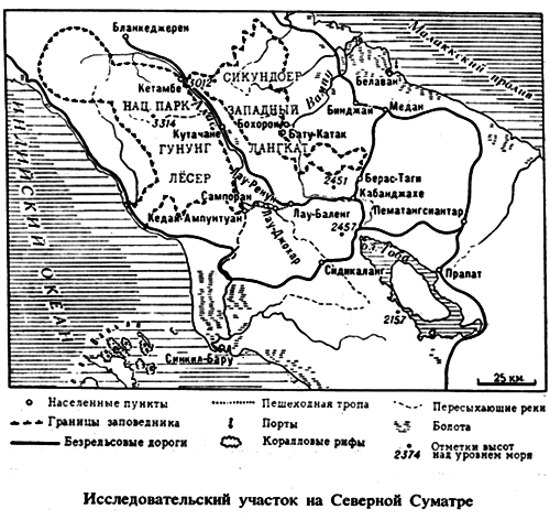 По следам рыжей обезьяны i_027.png