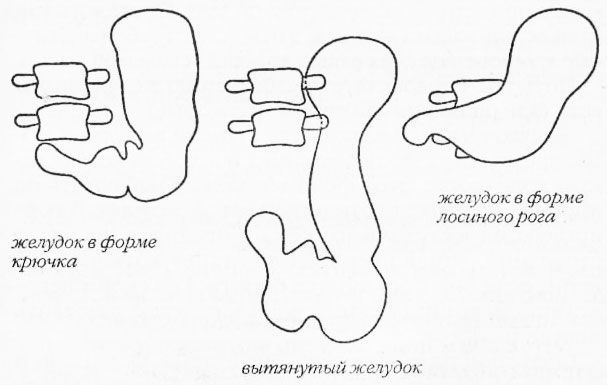 Раздельное питание. Новый подход к диете и здоровому питанию imgAA30.jpg