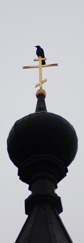 Игрушки _7.jpg