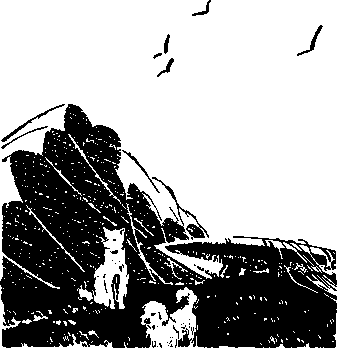 Открытие мира (2-е изд., переработанное и дополненное) lyapunov_10_02.png
