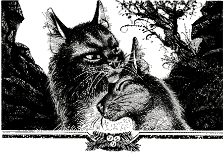 Решение i_017.png