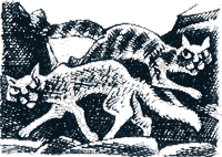Решение i_027.png