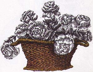 На волне Знаменитых Капитанов (с илл.) i_119.jpg