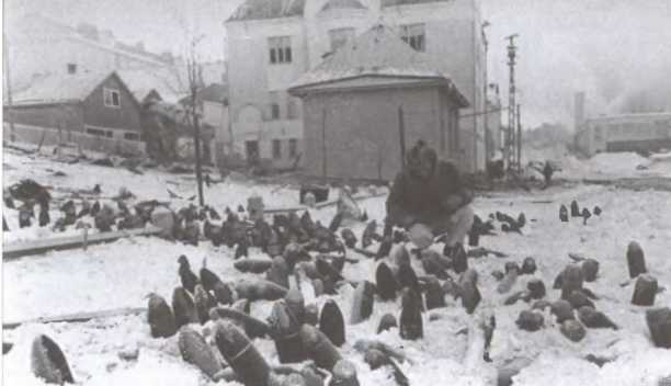Зимняя война 1939-1940 гг i_011.jpg