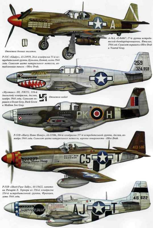 P-51 Mustang i_013.jpg