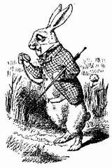 Alice's adventures in Wonderland i_001.jpg