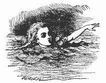 Alice's adventures in Wonderland i_006.jpg