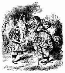 Alice's adventures in Wonderland i_008.jpg