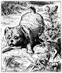 Alice's adventures in Wonderland i_013.jpg