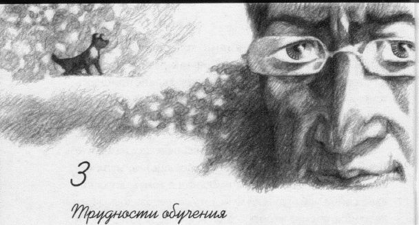 Пес по имени Бу i_005.jpg