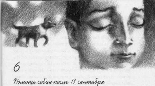 Пес по имени Бу i_008.jpg