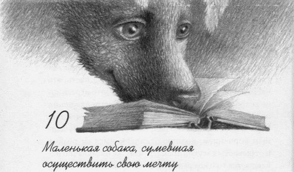 Пес по имени Бу i_012.jpg