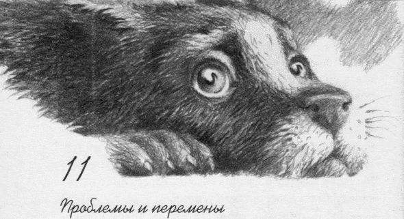 Пес по имени Бу i_013.jpg