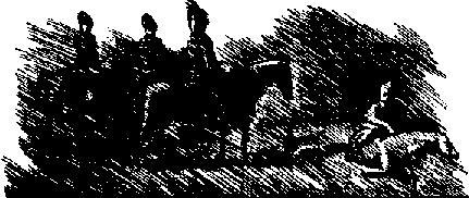 Черный всадник any2fbimgloader1.png