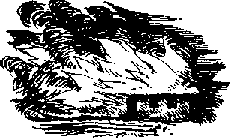 Черный всадник any2fbimgloader10.png