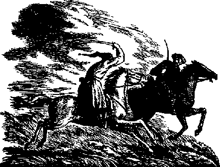 Черный всадник any2fbimgloader11.png