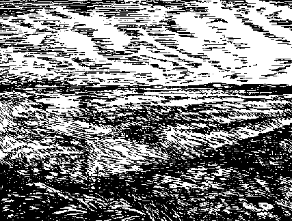 Черный всадник any2fbimgloader21.png