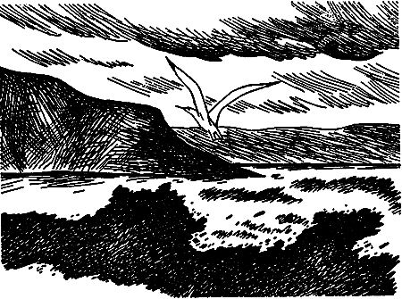 Дата на камне (сборник) i_021.png