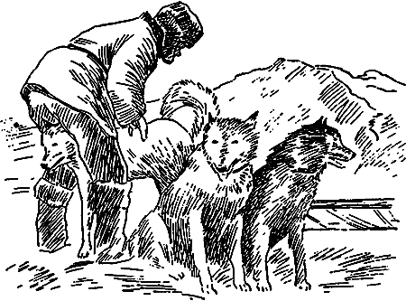 Дата на камне (сборник) i_023.png