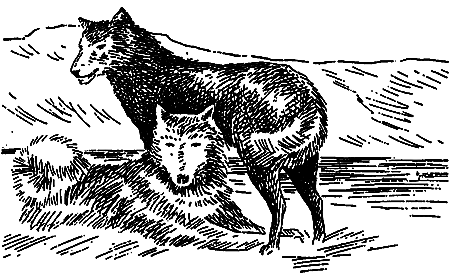 Дата на камне (сборник) i_024.png