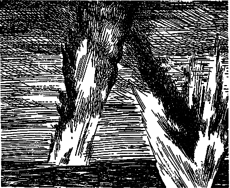 Дата на камне (сборник) i_029.png