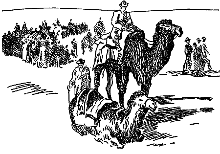Дата на камне (сборник) i_007.png