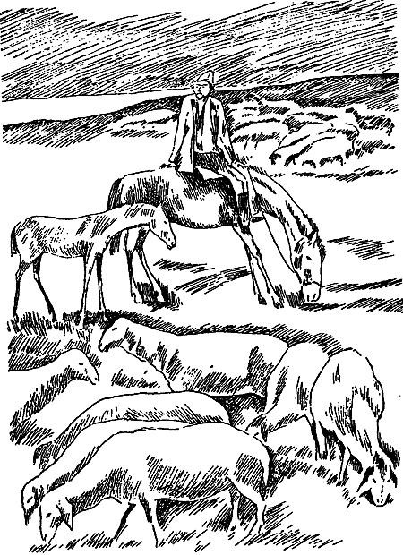 Дата на камне (сборник) i_009.png