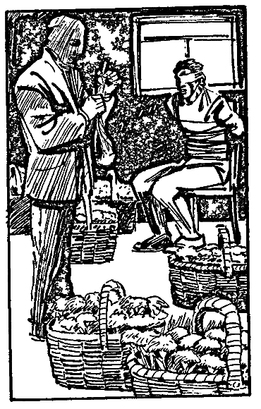 Сыскное агентство _12.png