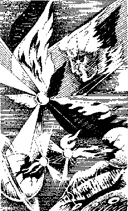 Право на поиск pnp10803.png