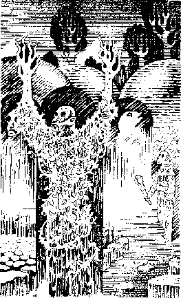 Право на поиск dnn10701.png