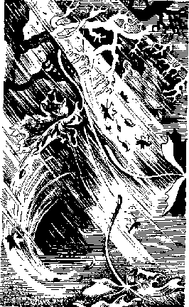 Право на поиск cd11601.png