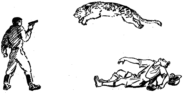 Тайна Гремящей расщелины (сборник) _14.png