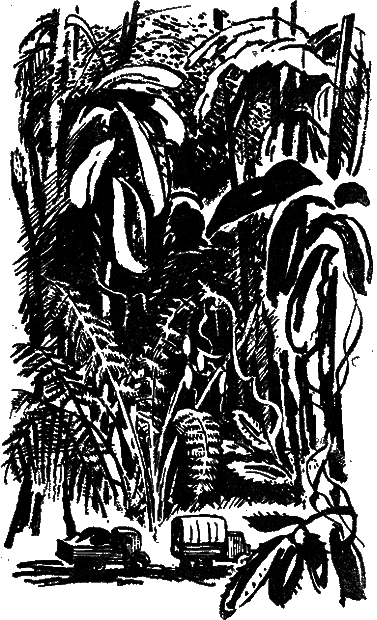 Тайна Гремящей расщелины (сборник) _23.png
