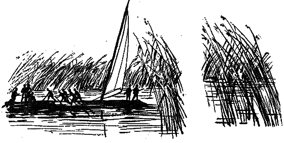 Тайна Гремящей расщелины (сборник) _26.png