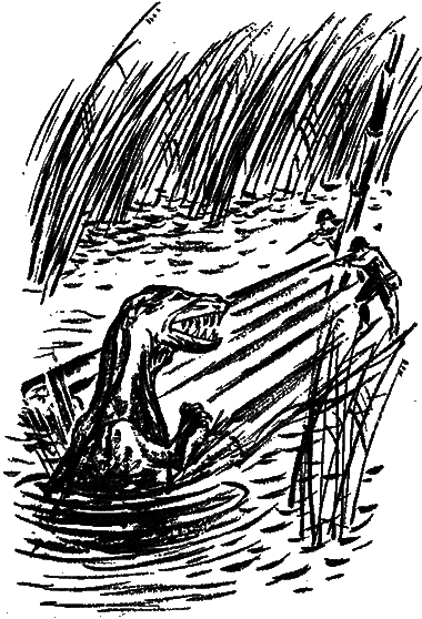 Тайна Гремящей расщелины (сборник) _27.png