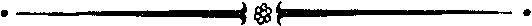 Пассажир «Полярной лилии» _3.png