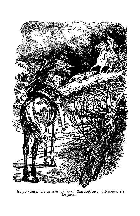 Отважная охотница i_007.png