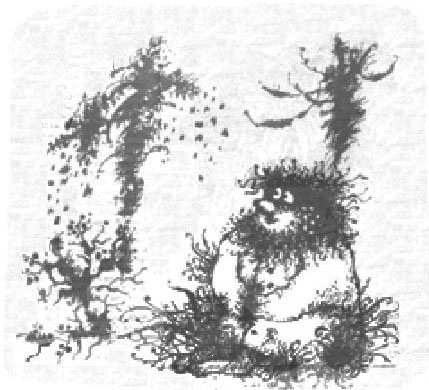 Златоборье i_019.png
