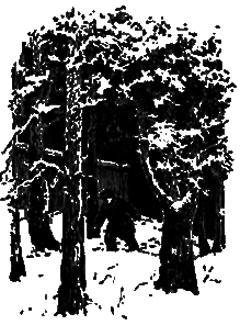 Шпага д’Артаньяна i_016.png